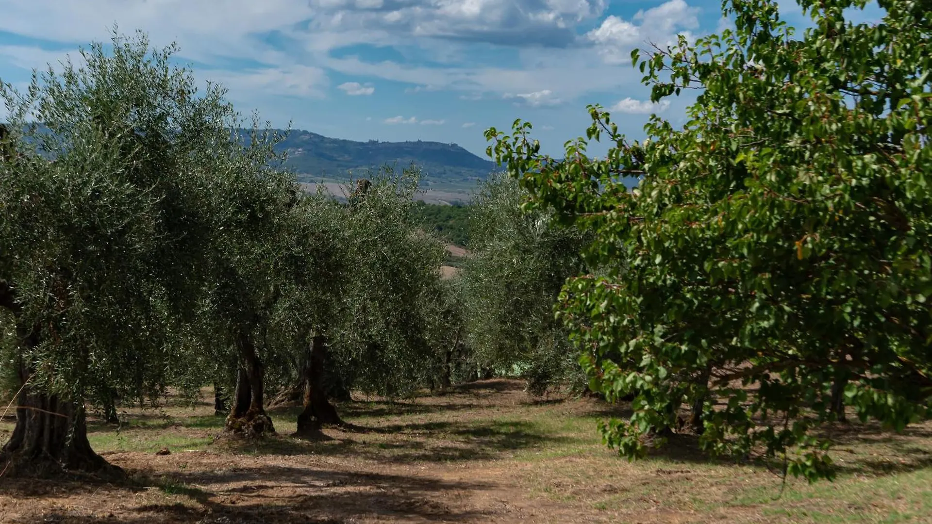 Il Miraggio In Val D'Orcia Relais & Spa San Quirico dʼOrcia Hotel